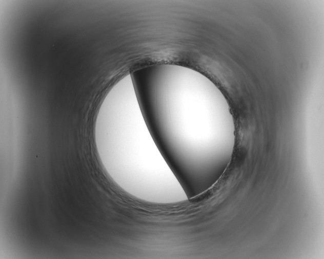 X0000098190211200804241058