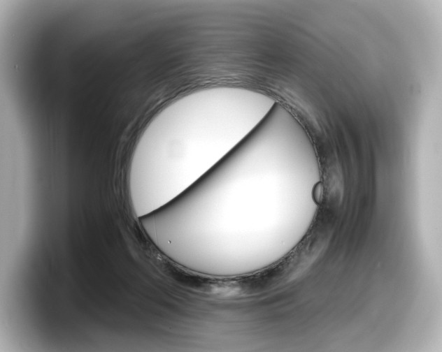 X0000098190214200804241058