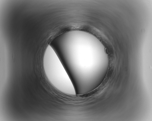 X0000098190215200804241058