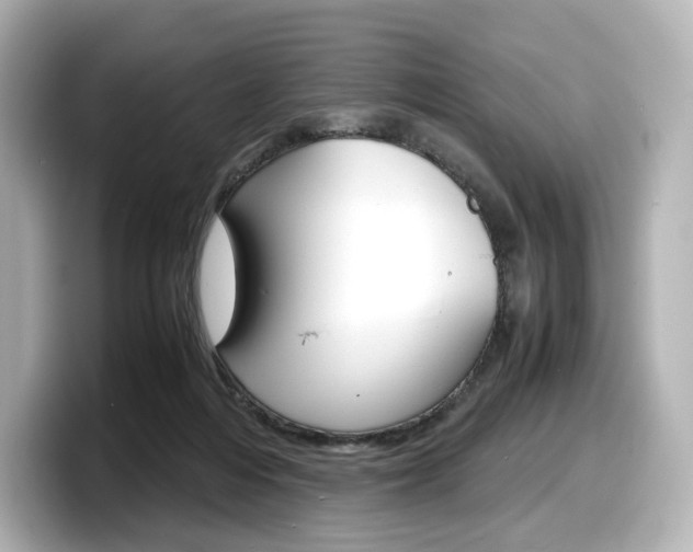 X0000098190216200804241058