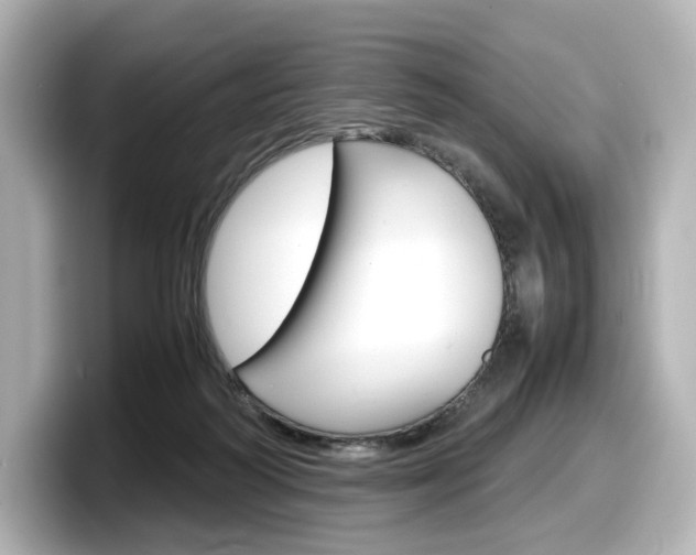 X0000098190218200804241058