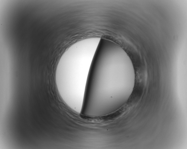 X0000098190223200804241057
