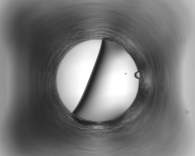 X0000098190224200804241057