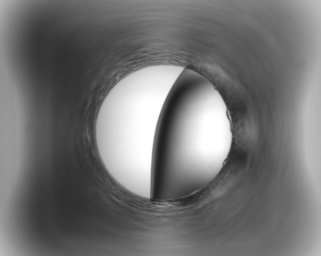 X0000098190229200804241057