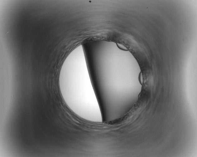 X0000098190231200804241057