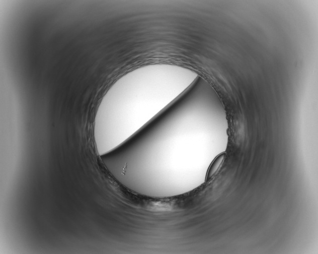 X0000098190232200804241057
