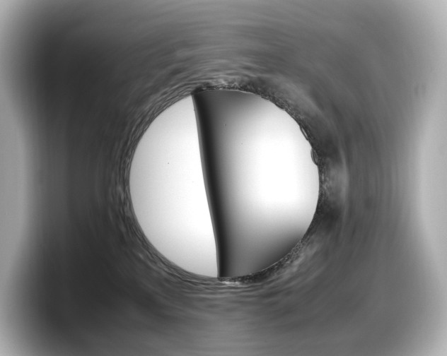 X0000098190233200804241057