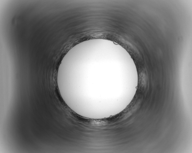 X0000098190234200804241057