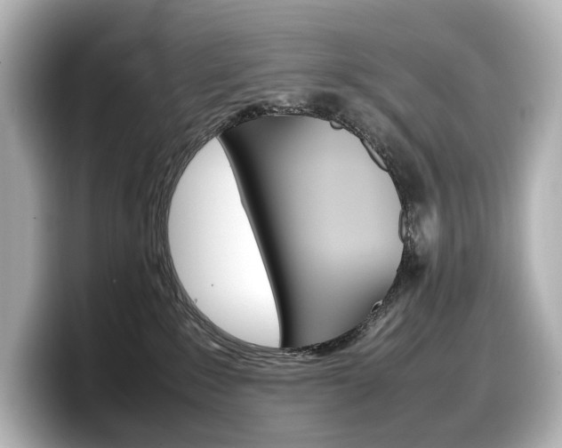 X0000098190235200804241057