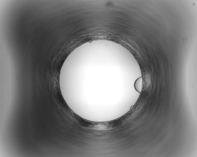 X0000098190236200804241057
