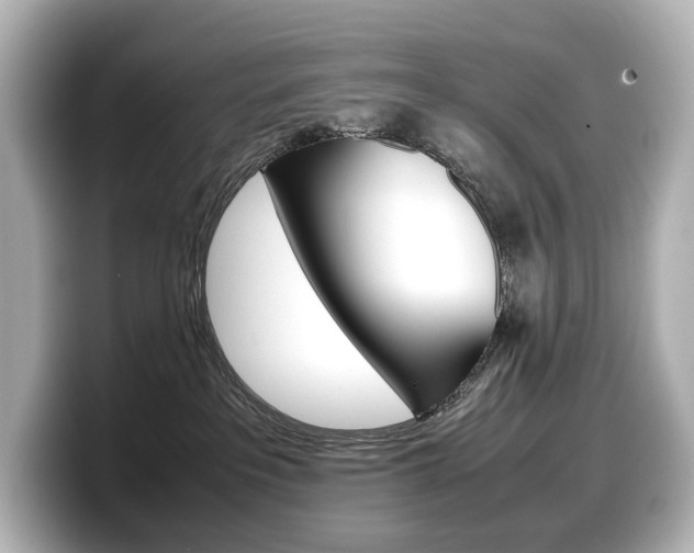 X0000098190237200804241057