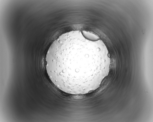 X0000098190238200804241057