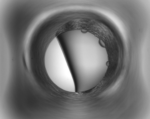 X0000098190239200804241057