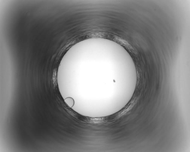 X0000098190240200804241057