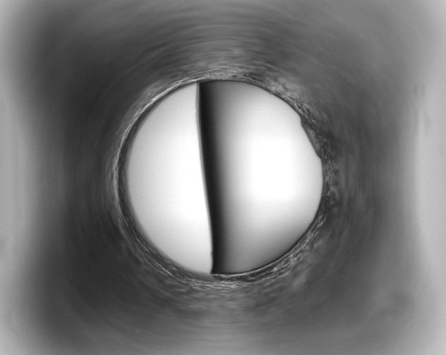 X0000098190242200804241057