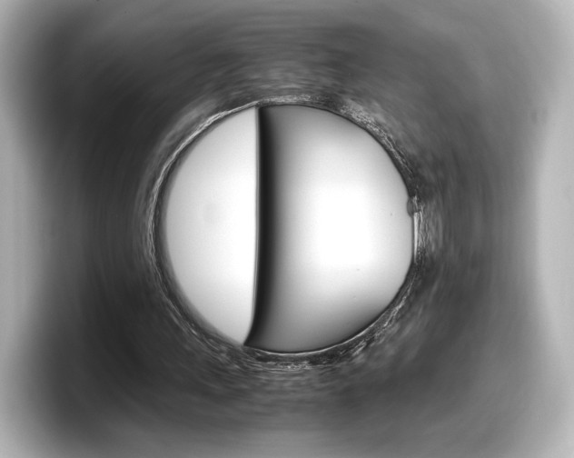 X0000098190243200804241057
