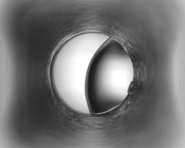 X0000098190244200804241057