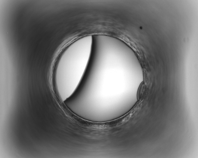 X0000098190245200804241057