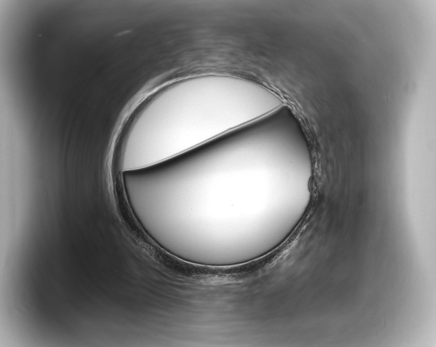 X0000098190246200804241057