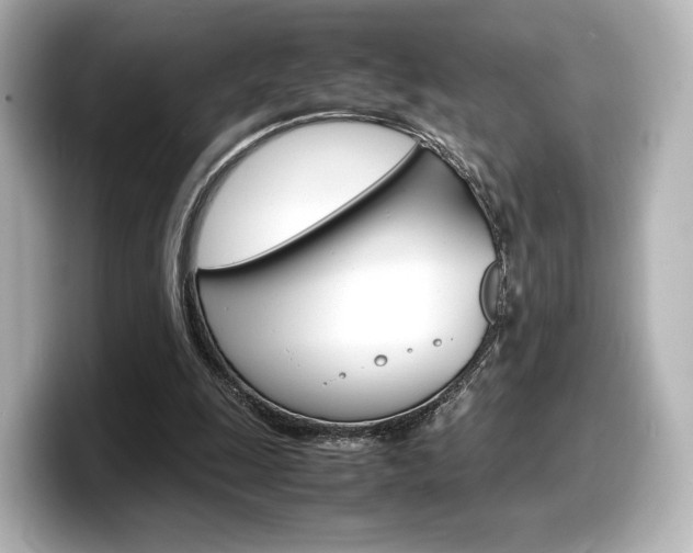 X0000098190247200804241057