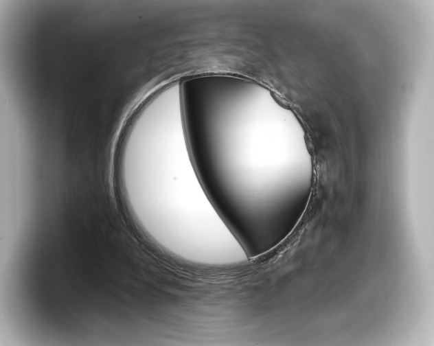 X0000098190248200804241057