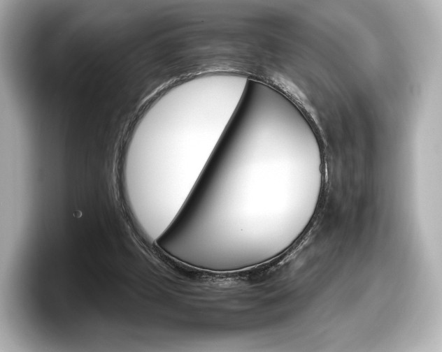 X0000098190249200804241057