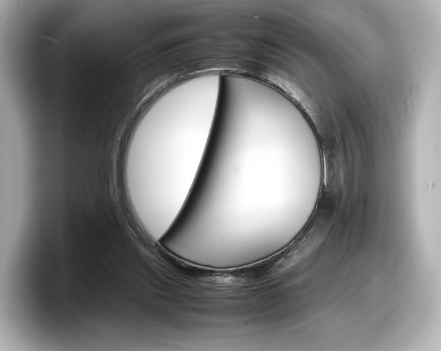 X0000098190253200804241057
