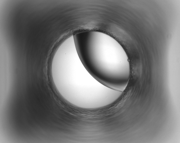 X0000098190256200804241057
