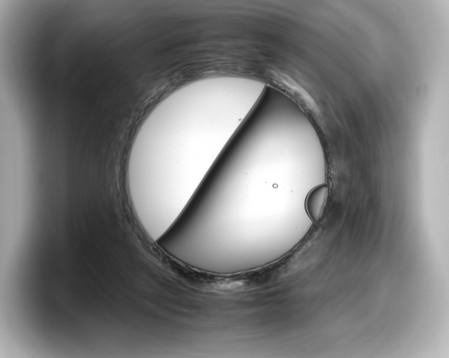 X0000098190257200804241057