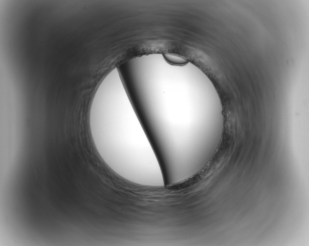X0000098190259200804241057