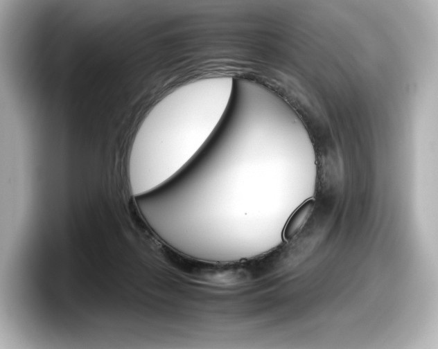 X0000098190267200804241057