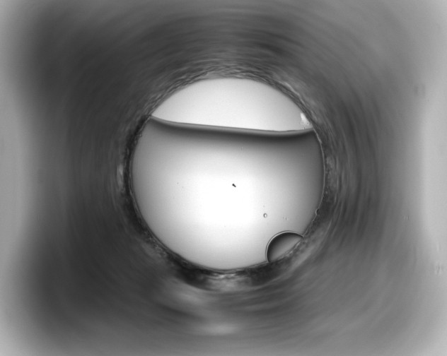X0000098190269200804241057
