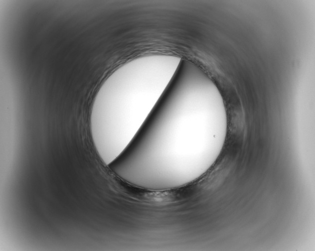 X0000098190273200804241057