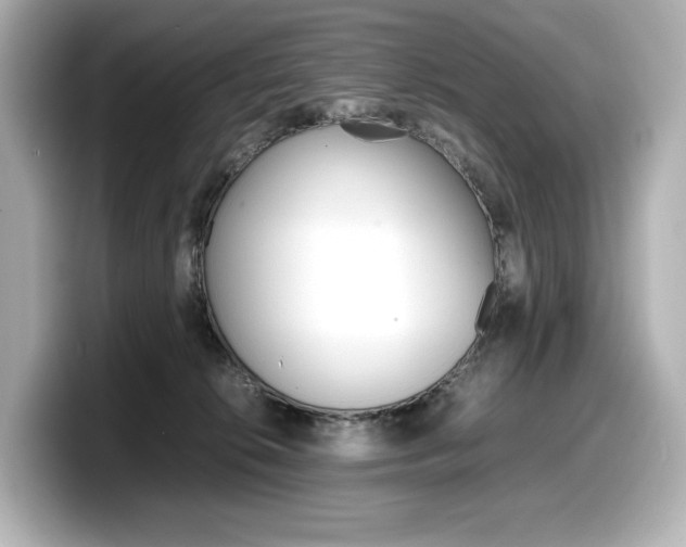 X0000098190276200804241057