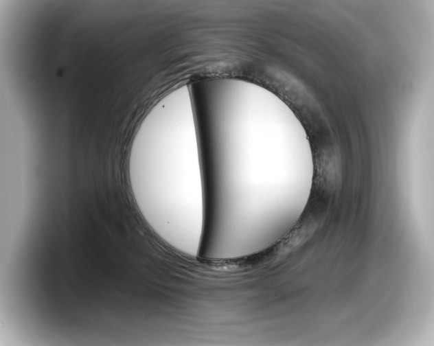X0000098190278200804241057