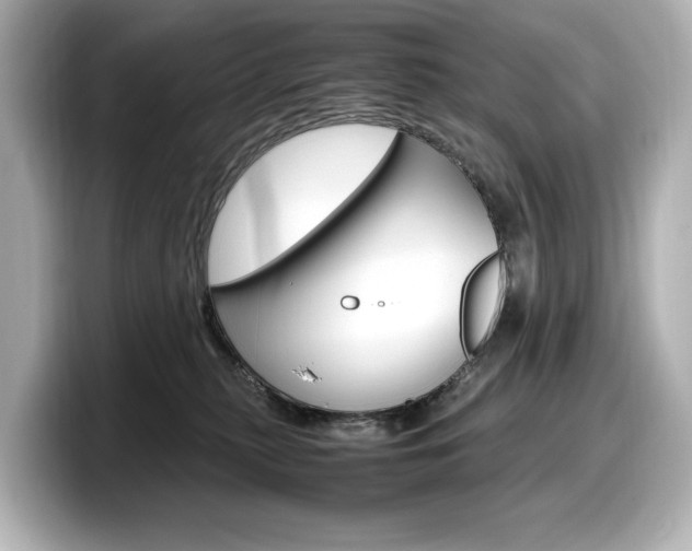 X0000098190279200804241057