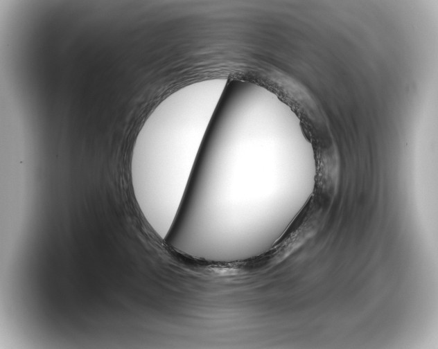 X0000098190284200804241057