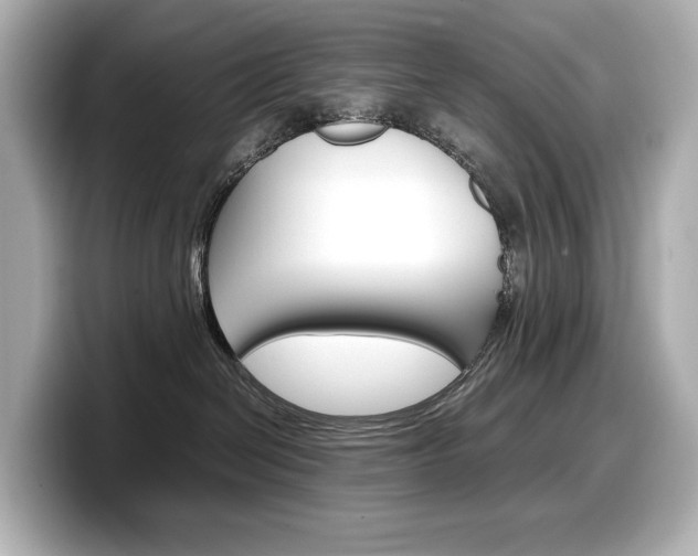X0000098190286200804241057