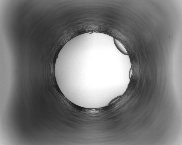 X0000098190287200804241057