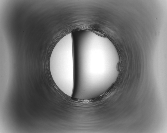 X0000098190288200804241057