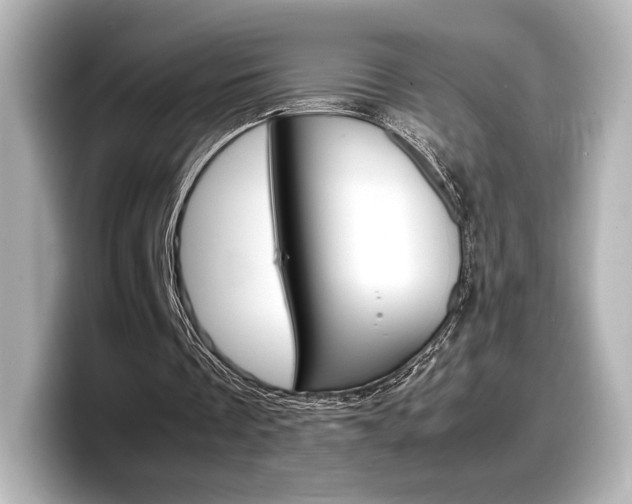 X0000098190289200804241057