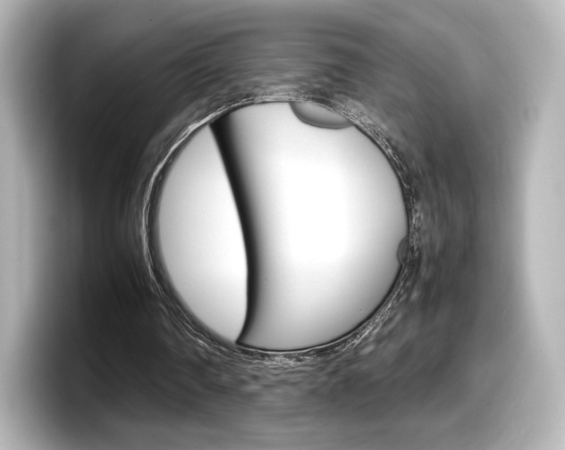 X0000098190290200804241057