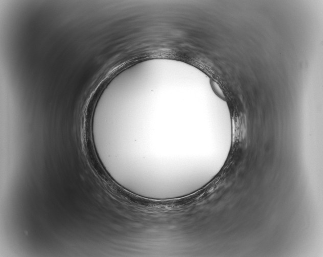 X0000098190291200804241057