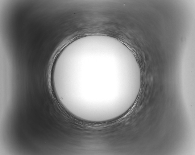 X0000098190293200804241057