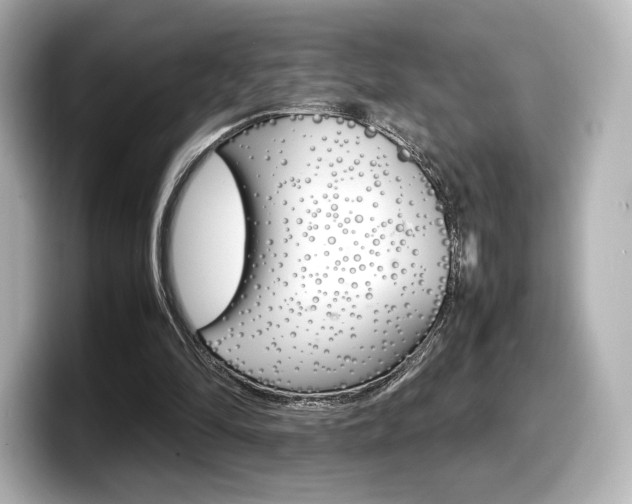 X0000098190294200804241057