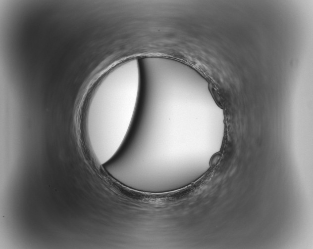 X0000098190295200804241056