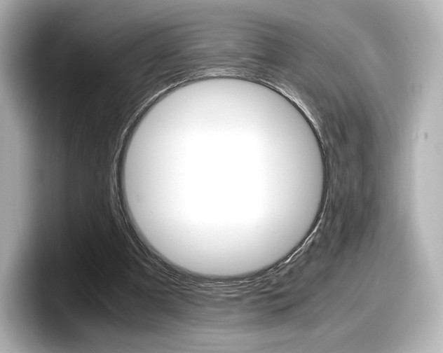 X0000098190297200804241056
