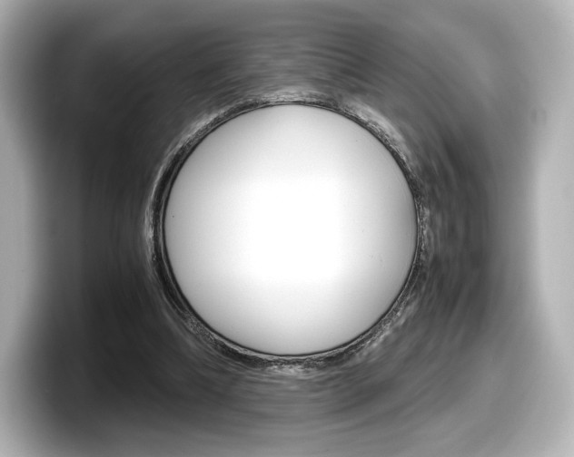 X0000098190298200804241056