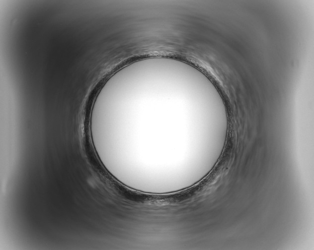 X0000098190299200804241056