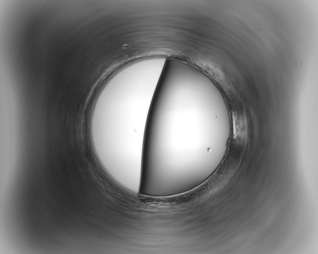 X0000098190300200804241056